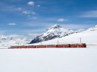 Kousek Švýcarska Bernina Expressem