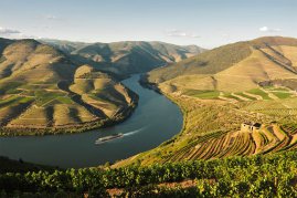 Experience the Douro