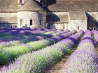La dolce vita po francouzsku