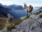 Kousek Švýcarska Bernina Expressem