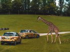 Safari park ve Dvoře Králové